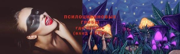 бошки Арсеньев