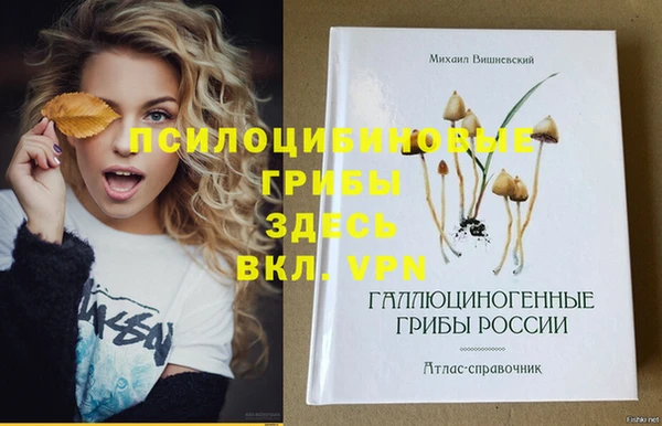 бошки Арсеньев