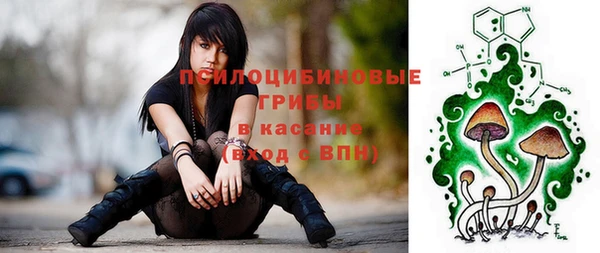 ПСИЛОЦИБИНОВЫЕ ГРИБЫ Аркадак