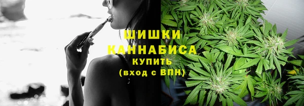 трава Армянск