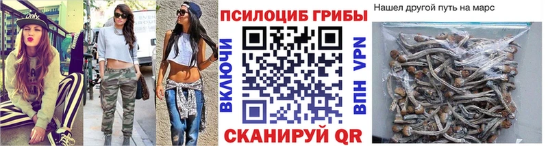 Галлюциногенные грибы мухоморы  Михайлов 